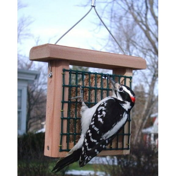 Kettle Moraine Cedar Single Suet Cake Bird Feeder with Hanging Cable