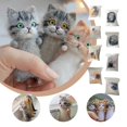 thumbnail image 4 of Dengmore Needle Felting Beginner Kit Wool Poke Poke Diy Material Kit Doll Creative Needle Gift For Lovers, 4 of 4