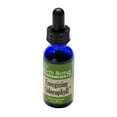 thumbnail image 5 of Birth Song Botanicals Energizing Chlorophyll Tincture Herbal Energy Support Supplement 1oz, 5 of 8