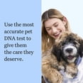 thumbnail image 2 of Wisdom Panel Breed Discovery Dog DNA Testing Kit, Most Accurate Dog Breed Identification, Test for 430+ Breeds, MDR1 Health Test, Ancestry, Relatives, 2 of 9