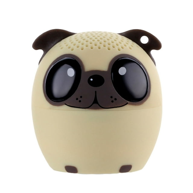 Birdeem Haut-Parleur Bluetooth Mini Petit Audio Sans Fil Portable Extérieur