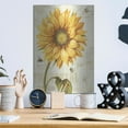 thumbnail image 6 of Luxe Metal Art 'Under The Sun I' by Lisa Audit, Metal Wall Art,, 12"x16", 6 of 9