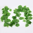 thumbnail image 6 of Toddmomy Artificial Grape Vine 12Pcs Pack Realistic Design for Wedding Decor and Indoor Use, 6 of 8