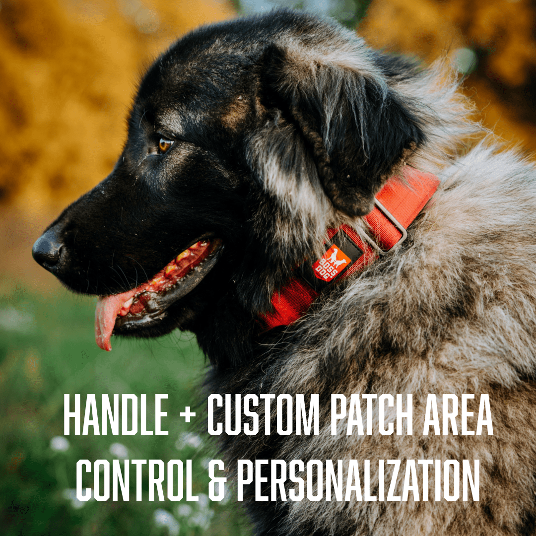Boss Nation 850010391892 17-22 in. Dog Tactical Adjustable Dog Collar, Red - Large