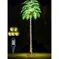 thumbnail image 1 of Palmera iluminada por LED de 8 pies con decoración navideña al aire libre con cocos, 1 of 6