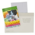thumbnail image 6 of Paper Craft (12 Pack) Assorted Greeting Cards With Envelopes, 6 of 6