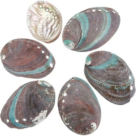 Mini Natural Abalone Shell Decorations Micro Landscape Fish Tank Decoration Photo Props Accessories Colorful 66~118x46~82x14~21mm 0.5 bag/box