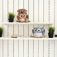 thumbnail image 5 of Quoowiit Small Swing Owl Planter Pot,Hanging Planters for Indoor Outdoor Plants with Drainage Holes, 5 of 9