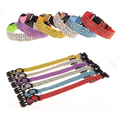thumbnail image 5 of Arnés y Correa | Diseño Leopardo | Accesorio para Pasear a tu Perro, 5 of 5