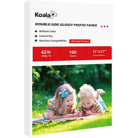 11x17 cardstock 160gsm koala