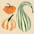 thumbnail image 2 of Warren, Annie 12x12 White Modern Wood Framed Museum Art Print Titled - Decorative Gourd III, 2 of 4