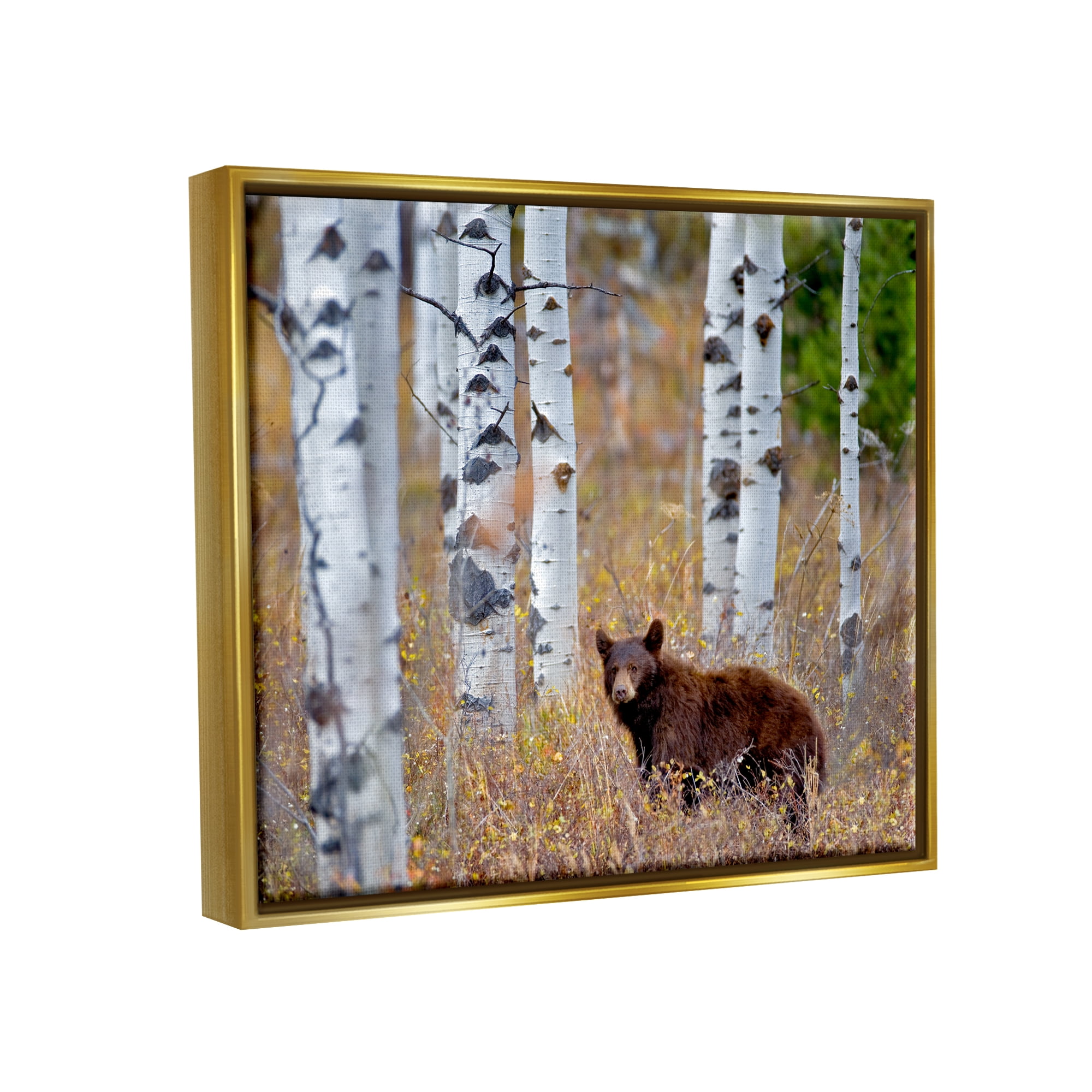Stupell Industries Bear Cub Birch Tree Thicket Animals & Insects Photography Gold Floater Framed Art Print Wall Art