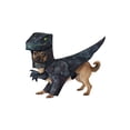 thumbnail image 2 of Pupasaurus Rex Dog Costume Large, 2 of 4