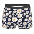 thumbnail image 4 of Goofa Daisy Floral Printed Men's Boxer Briefs Underwear, Moisture-Wicking Underwear, Trunk,Soft and Breathable Cotton Underwear-Small, 4 of 9