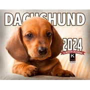2024 Dachshund Wall Calendar 16-Month X-Large Size 14x22, Best Dachshund Dog Calendar by The KING Company-Monster Calendars
