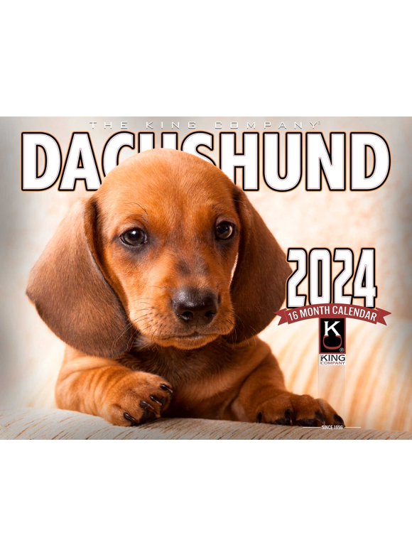 Dog Wall Calendars in Wall Calendars