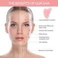 thumbnail image 2 of Esponjas faciales Konjac para limpieza exfoliante – Esponja facial Konjac para lavar la cara cuerpo orgánico natural limpieza Puff Buff Scrubber para ducha baño SPA para bebés, hombres y mujeres, 2 of 5