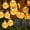 Warm White 2pcs, variant on Brightown Solar String Lights Outdoor 60 Led 35.6 Feet Crystal Globe Lights with 8 Lighting Modes, Waterproof Solar Powered Patio Lights for Garden Yard Porch Wedding Party Decor (Warm White)