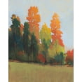 thumbnail image 2 of OToole, Tim 26x32 Gold Ornate Wood Framed with Double Matting Museum Art Print Titled - Fall Colors II, 2 of 4