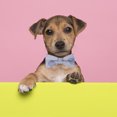 thumbnail image 3 of Corbata Huxley y Kent | | Accesorio para collar con corbata para mascotas United Pride, 3 of 5