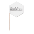 thumbnail image 1 of Quote I Major In Architecture Toothpick Flags Cupcake Picks Party Celebration, 1 of 3