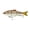 4K Gizzard, variant on 6th Sense – Trace Multi-Jointed Swimbait Series, Realistic Swimming Hard Bait