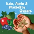 thumbnail image 3 of Get'ems from Gerber Kale, Apple & Blueberry Cookies, Kids Snack Made with Real Veggies & Fruits, Iron & Vitamin E, 3 of 15