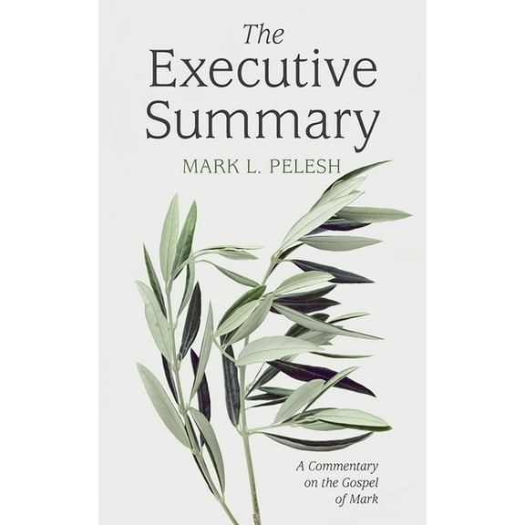 The Executive Summary, (Paperback)