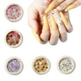 thumbnail image 5 of UDIYO Simulation Rose Marguerite Sakura Decals Wood Pulp Slices Nail Art Decorations, 5 of 7