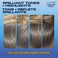 thumbnail image 4 of Coloration permanente Clairol Nice'n Easy, 4 of 9