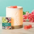 thumbnail image 3 of Paradise Shores Scented Wax Melts, Better Homes & Gardens, 2.5 oz (1-Pack), 3 of 8