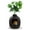 Brown, variant on CozyHom Cat Litter Box Furniture Artificial Plant Hidden Calley, Ventilated Waterproof And Odor Resistant, Carbon Filter And 3.3lbs Real Stone Block For Large Cats, Black