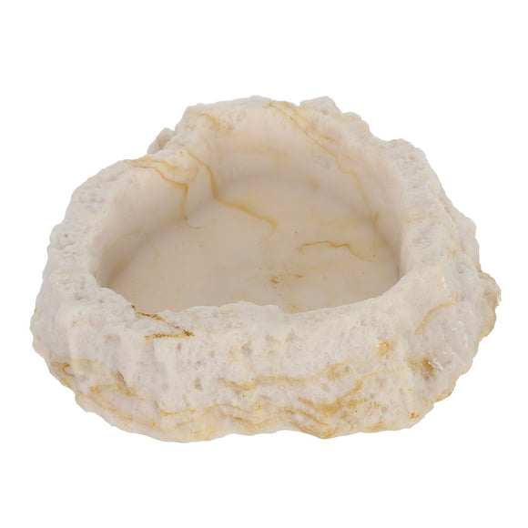 Miangastore Bol d'Eau pour Reptile Terrarium Bol d'Eau pour Reptile Bol d'Alimentation pour Nourriture Bol de Nourriture pour Dragon Barbu Réservoir de Dragon de Dard Accessoires