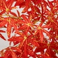 thumbnail image 3 of Nearly Natural 5ft. Autumn Vibrant Maple Artificial Fall Tree, 3 of 7