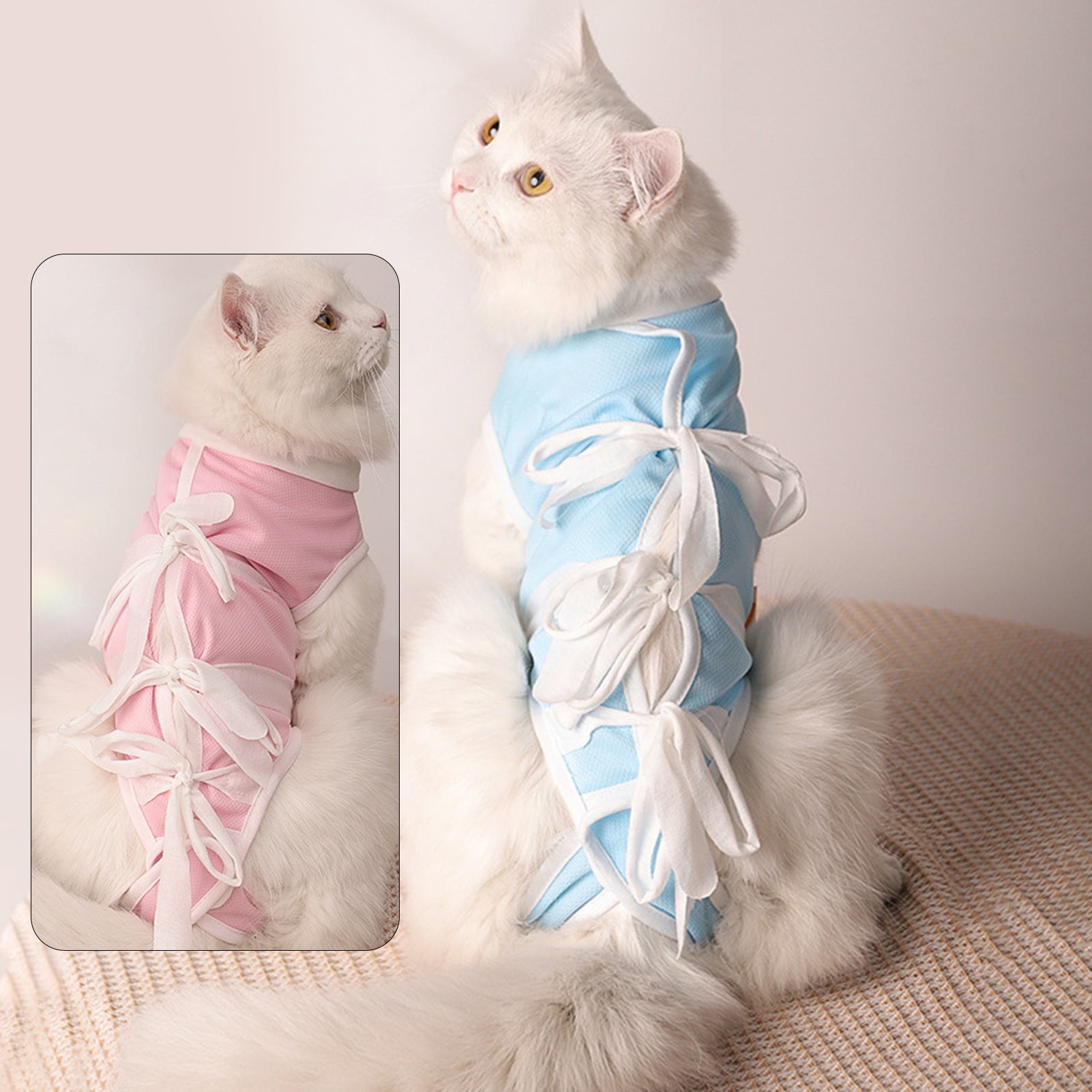 Cat collar after clearance spaying