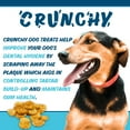 thumbnail image 7 of Texas Pet Company Chicken Jerky Crunchy Bits Dog Treats 13.5oz Jar Single Ingredient USA Made New, 7 of 7