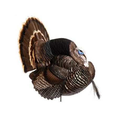Dave Smith Decoys Strutter White Face Turkey Decoy