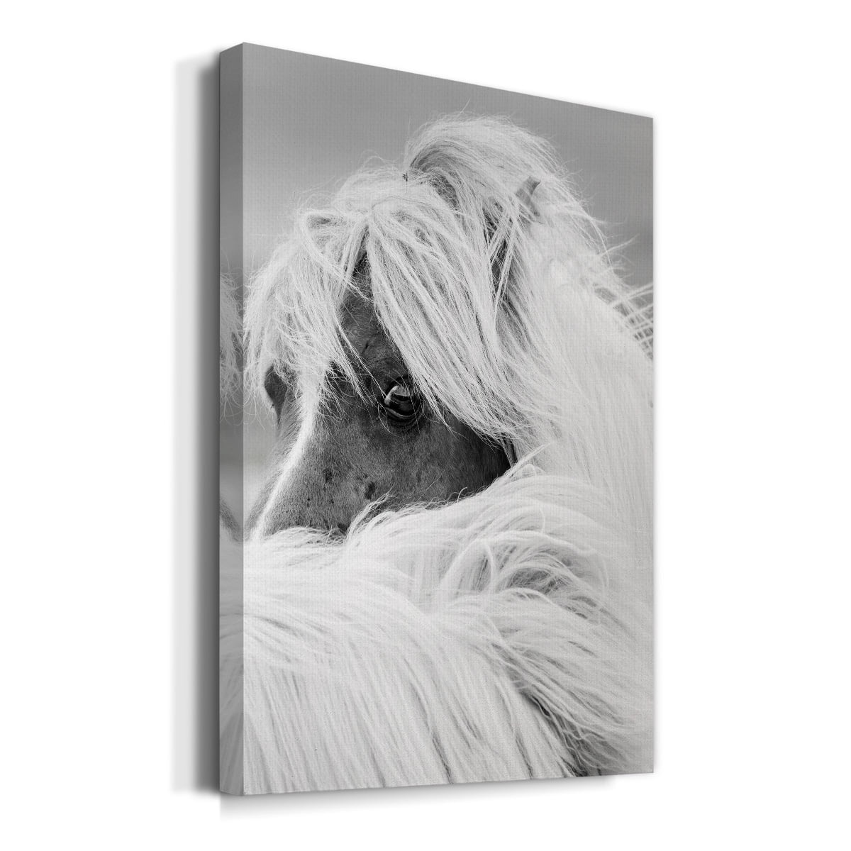Island Pony II Premium Gallery Wrapped Canvas - Ready to Hang