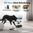 PAWISE Automatic Pet Feeder, Auto Dog Dry Food Dispenser with Timer for