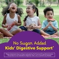 thumbnail image 3 of L’il Critters Digestive Support Childrens Fiber Supplement Gummies, Mixed Fruit Flavor, 90 Count, 3 of 14