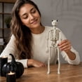 thumbnail image 7 of Life-size posing Halloween skeleton 15.7-inch full-body articulated human bone yard, realistic decoration displayed in the window and durable plastic props., 7 of 7
