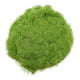 thumbnail image 5 of Modelo de hierba en polvo Césped para terreno de hierba de tierras bajas en miniatura DIY Verde, 5 of 6