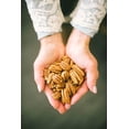 thumbnail image 4 of ORGANIC PECAN BUTTER Pack of 12, 4 of 9