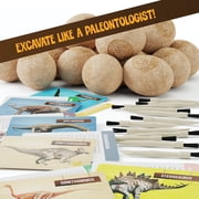 Dig a Dozen Dinosaur Egg Kit for Kids - Dino Toys - Basket Stuffers - Birthday Gifts for Boys & Girls - Boy Toy Part Gifts