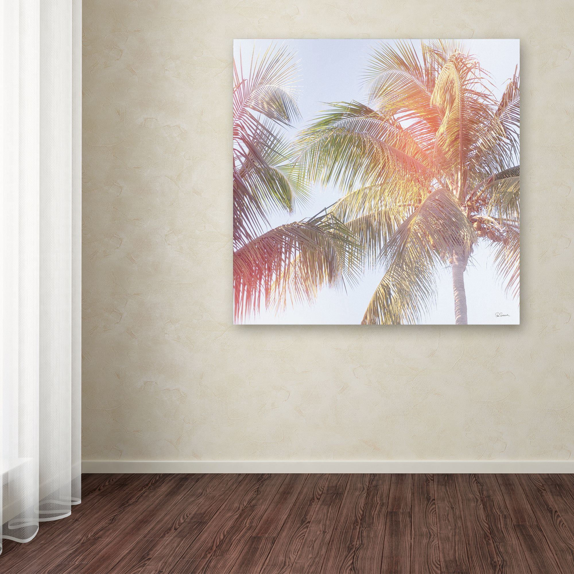 Trademark Fine Art 'Dream Palm III' Canvas Art by Sue Schlabach