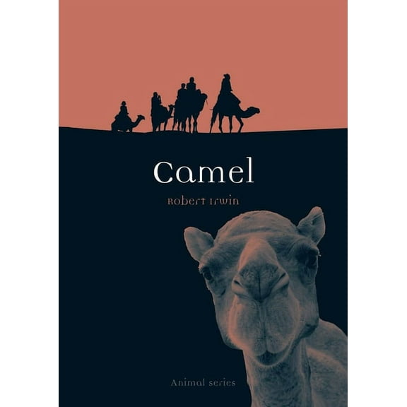 Animal: Camel (Paperback)