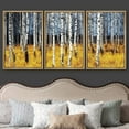 thumbnail image 3 of wall26 Framed Aspen Trees Fall Colors - Canvas Art Wall Art - 16"x24"x3 Natural, 3 of 5
