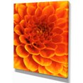 thumbnail image 2 of Orange Abstract Flower and Petals - Floral Canvas Art Print, 2 of 3