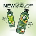 thumbnail image 5 of Herbal Essences Strength + Restore Avocado Sulfate-Free Conditioner, 13.5 fl oz, 5 of 7