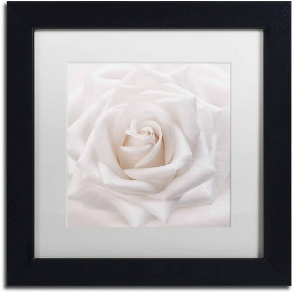 Trademark Fine Art 'Soft White Rose' Canvas Art by Cora Niele, White Matte, Black Frame